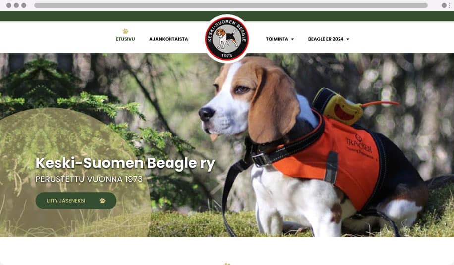 Keski-Suomen Beagle - WordPress kotisivut yritykselle