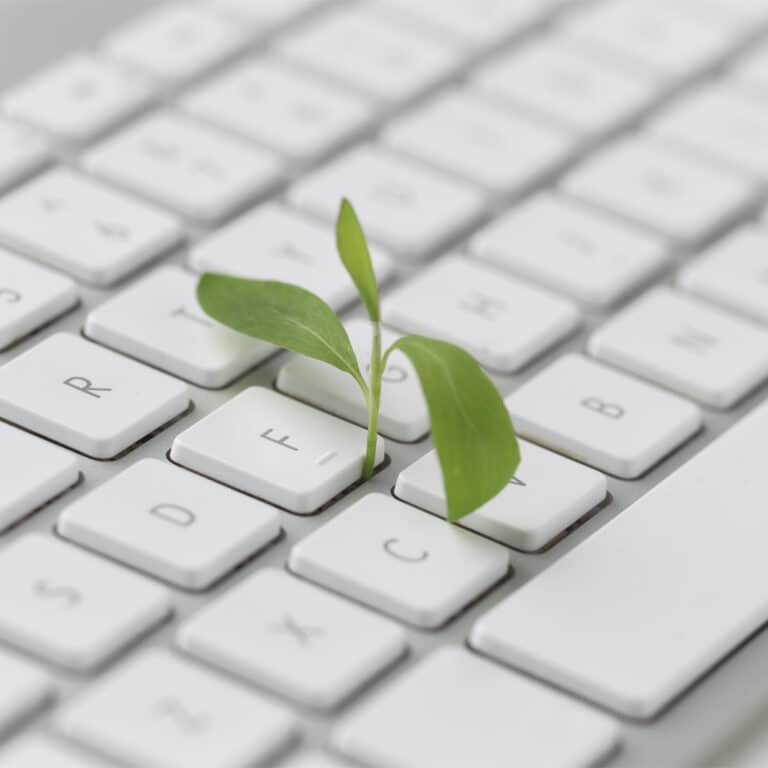 WordPress kotisivut 2025